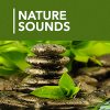 A 1000 Nature Sleep Relax Sounds