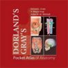 Atlas of Anatomy Logo
