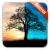 Day Night Live Wallpaper All Logo