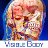 Human Anatomy Atlas logo