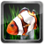 My 3D Fish II logo