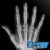 X Ray Scanner