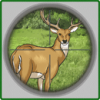 4SeasonsHunt3D logo