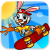 Bunny Skater