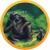 Conservation Crisis 1