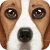 Ultimate Dog Simulator Logo