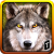 Wolf Life Simulation 2017 Logo