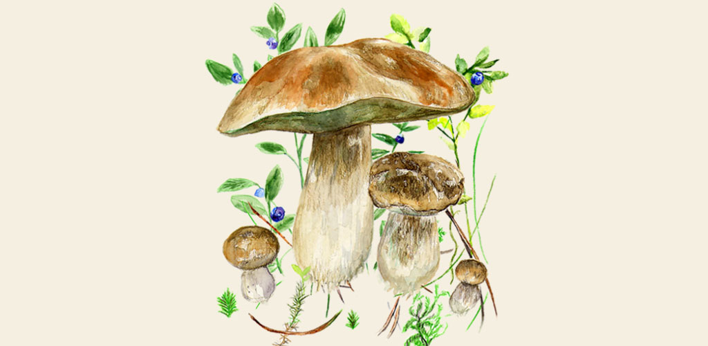 Mushrooms app