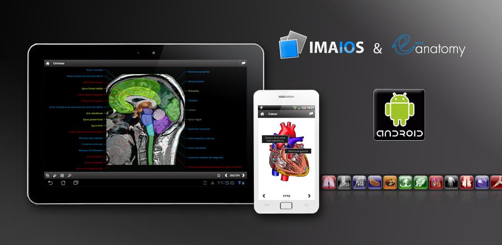 E-Anatomy