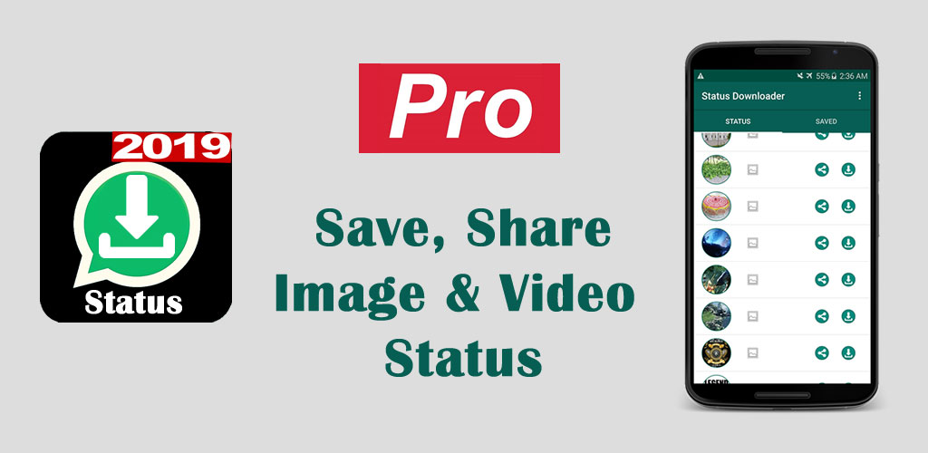 Pro Status download Video Image status downloader