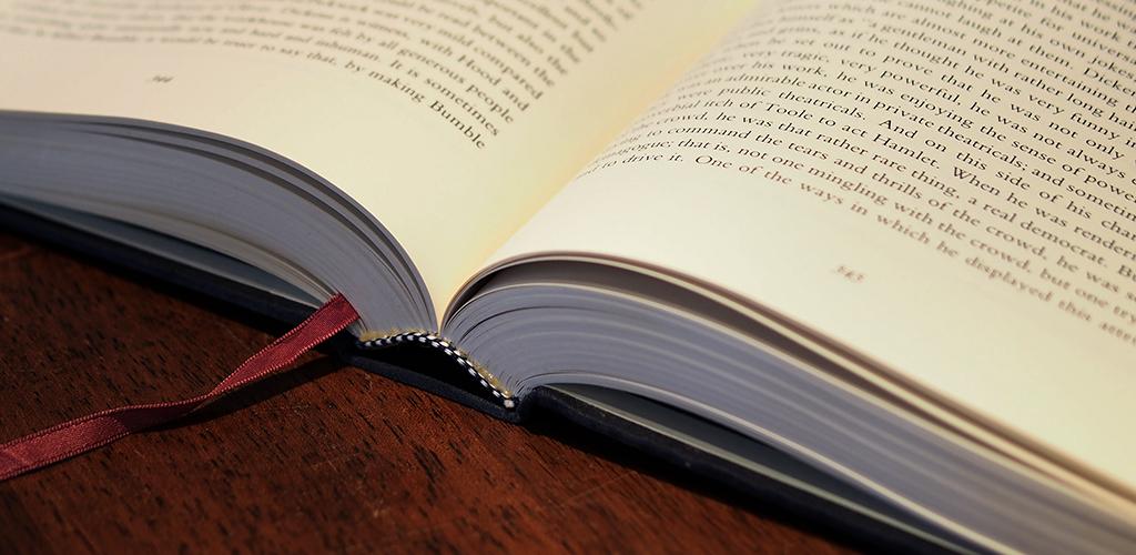 Voice Dream Reader Android