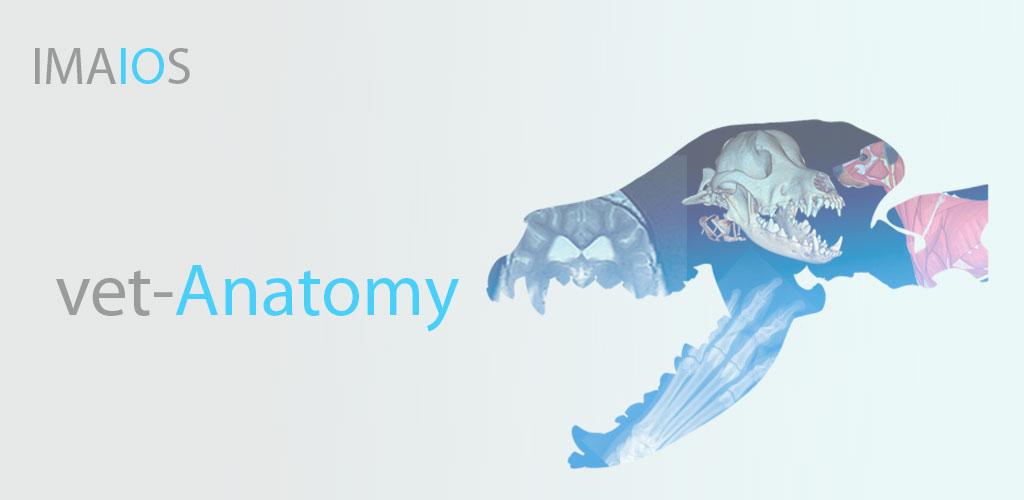 vet-Anatomy