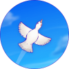 Download Skyward Journey 1.0 - fascinating and relaxing fun game "Journey to the Sky" Android + Mod 1 Skyward Journey Logo