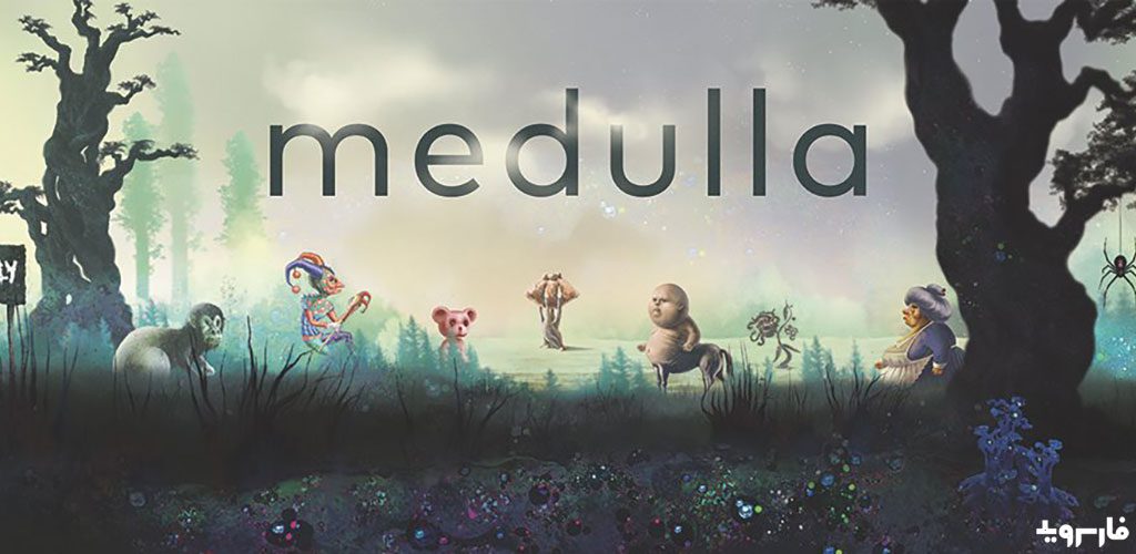 Medulla