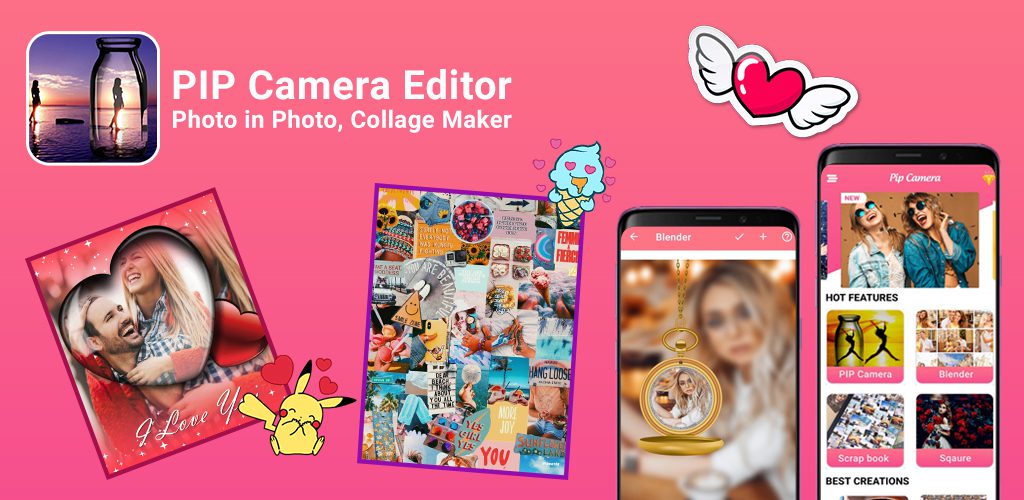 PIP Camera