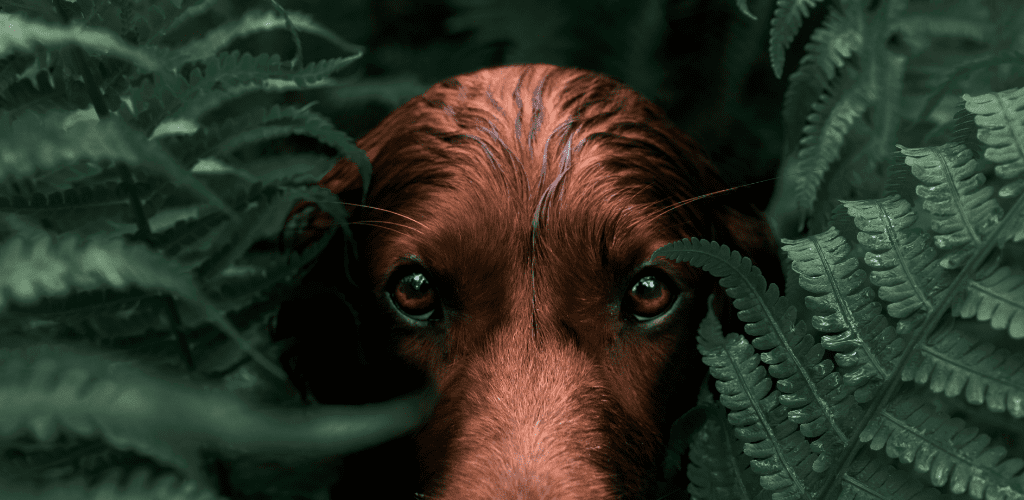 Adobe Photoshop Lightroom CC 9