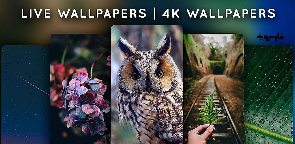 Live Wallpapers - 4K Wallpapers