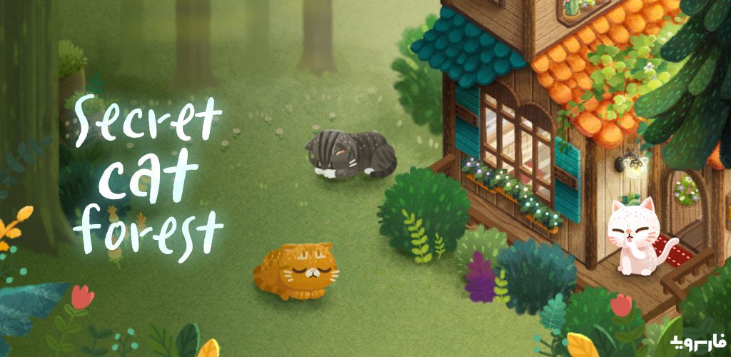 Secret Cat Forest