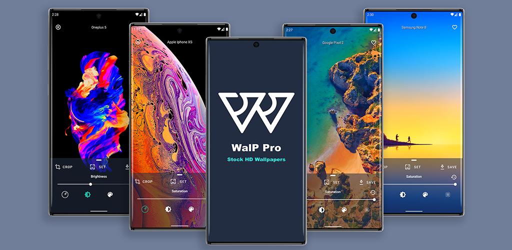 WalP Pro 2