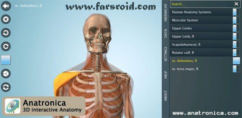 Anatomy 3D Pro – Anatronica - an application that allows you to explore the human body in detail
