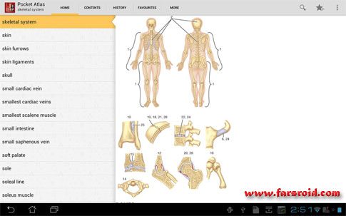 Atlas of Anatomy - The best anatomy atlas available!