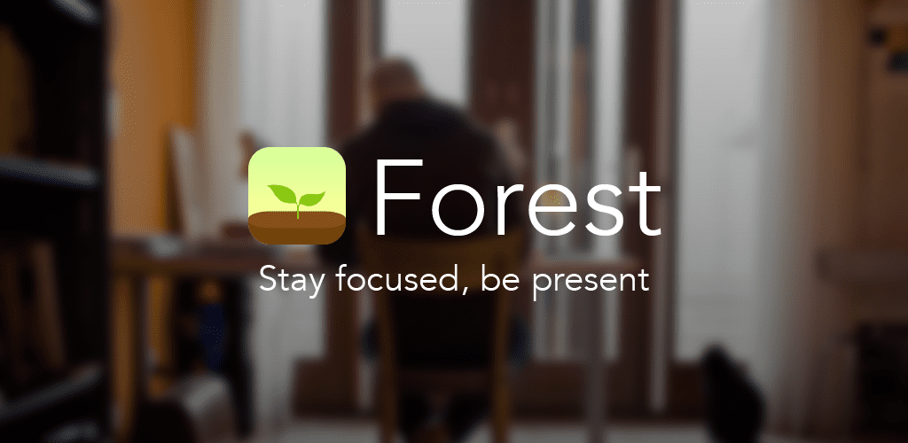 Forest Stay focused 1