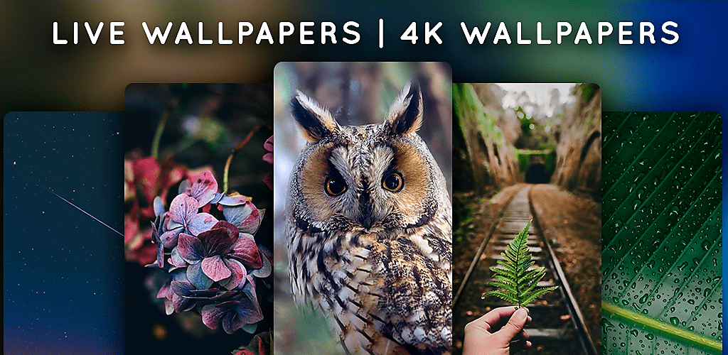 Live Wallpapers, 4K Wallpapers