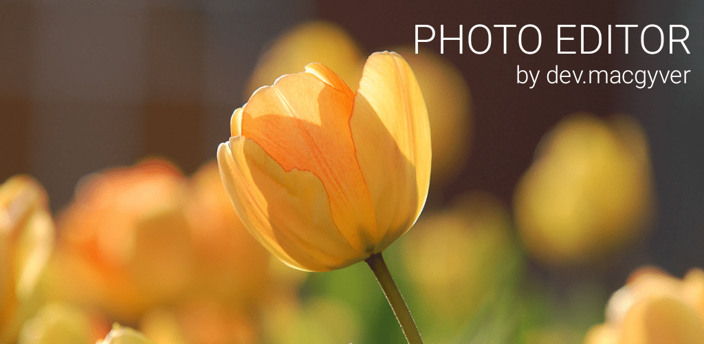 Photo Editor Android