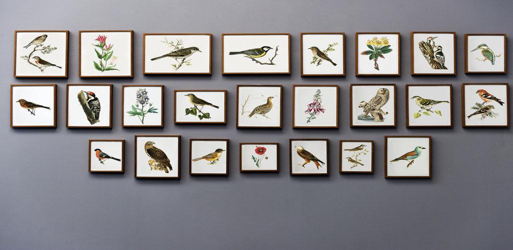 Pure Gallery