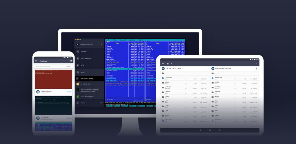 Termius - SSHSFTP and Telnet client Premium