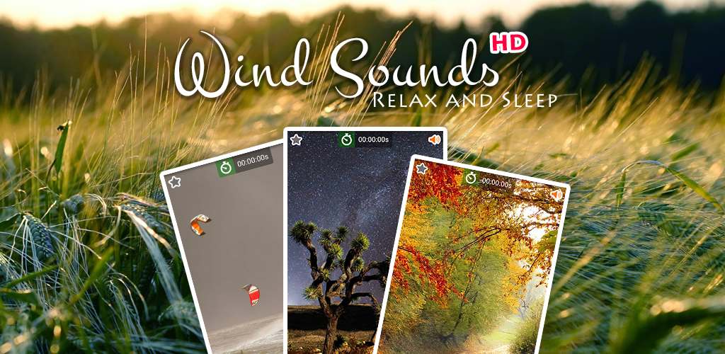 Wind Noise