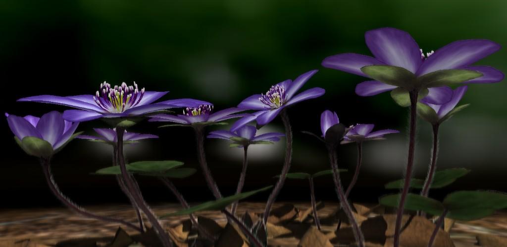 Yukiwarisou 3D Live Wallpaper Pro