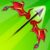 Archers Adventure 1