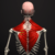 anatomy by muscle motion logo
