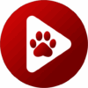 bear player logo
