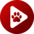 bear player logo