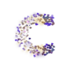 celia walls logo