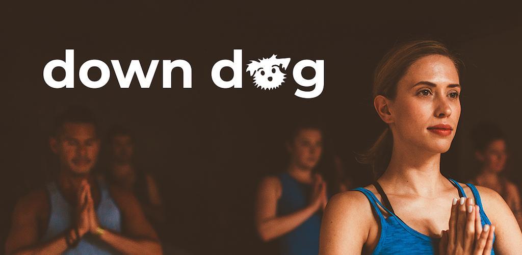 Down Dog Great Yoga Anywhere Subscribed