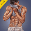 fitolympia pro gym workouts logo