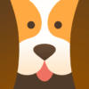 godog app logo