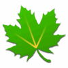 greenify root logo