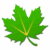 greenify root logo