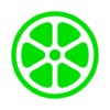 lime your ride anytime logo