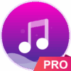 music player pro version logo