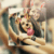 photo editor picsa logo
