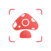 picture mushroom mushroom id logo