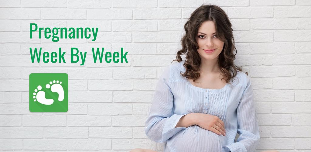 Pregnancy Week By Week