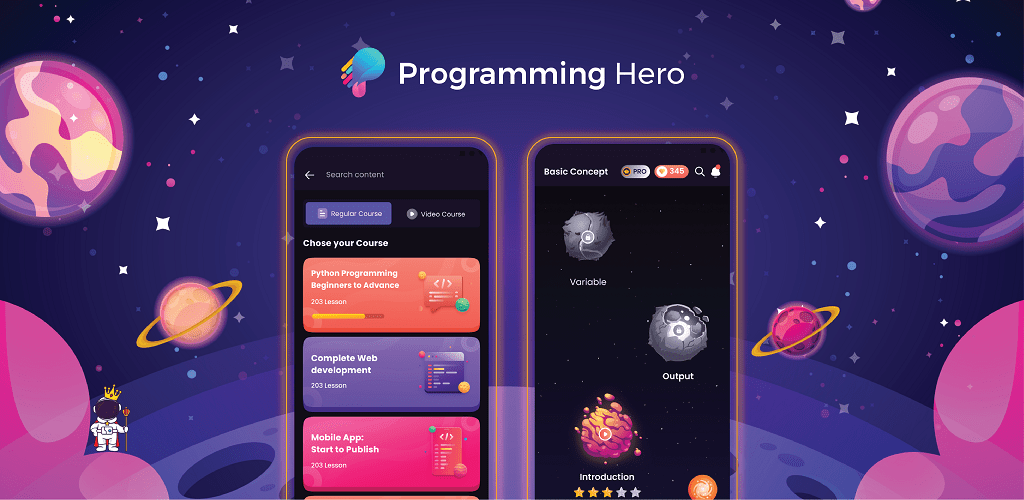 Programming Hero