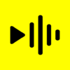 reelsapp video trends logo