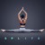 splits flexibility training logo